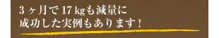 3ヶ月で17kgも減量に成功した実例もあります!
